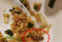 ����֪��С���r�ꔂ�����ˣ�ͳԵ���� ����@���f(shu��)��