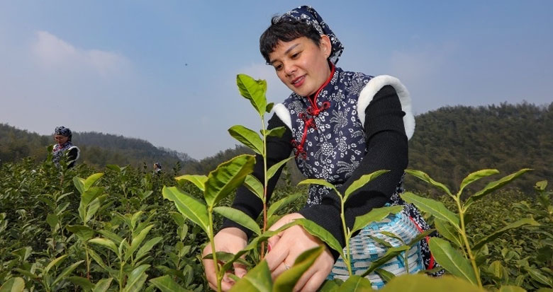 ���������M(j��n)���_(k��i)����