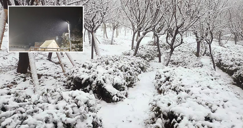 ����ɽ�^(q��)����ѩ�ˣ�