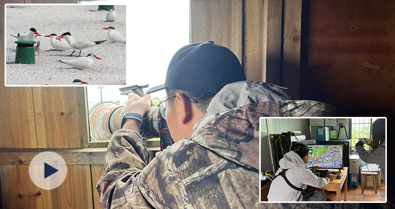 ӛ���w�(y��n)"��Ԋ(sh��)��Ĺ���"���v�عu ���o(h��)"��Ԓ֮�B"