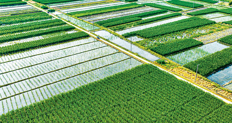 ��Ҧ��������ۏ���¸�·