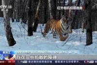 �ŚwҰ��һ�� �����_ɽ1̖���F(xi��n)����r��Σ�