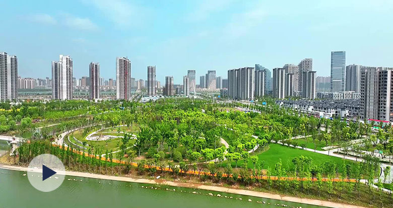 ����100��N��ľ ǰ���³�ˮ��ɭ�ֹ��@Ȧ���ۡ�