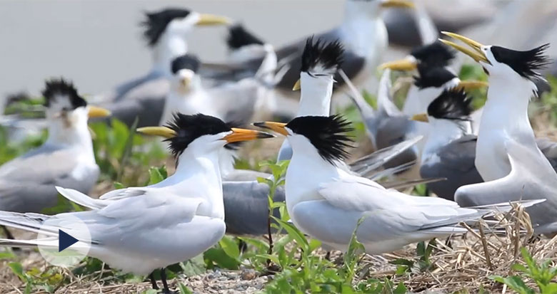 �ؼҿ�һ��(g��)���� ����Ԓ֮�B����ô����?