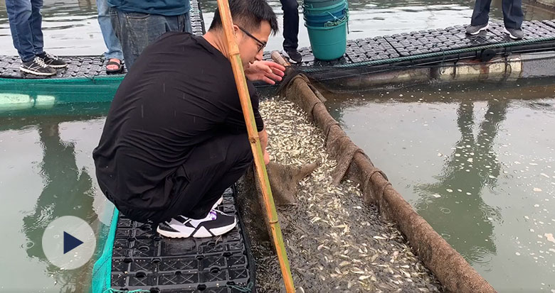 ����(sh��)�˲�֪����400���fβ�~�����@�Ӕ�(sh��)������