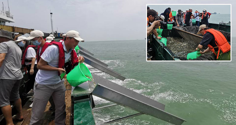 8�|��β ��20������ˮƷ�N �����e�д�Ҏ(gu��)ģ��ֳ����