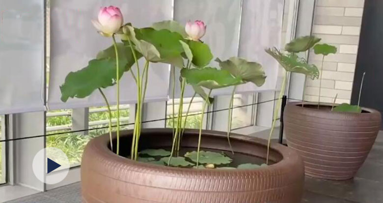 �ɶ䡰ǧ����ɏ�������ˇ���^�`��