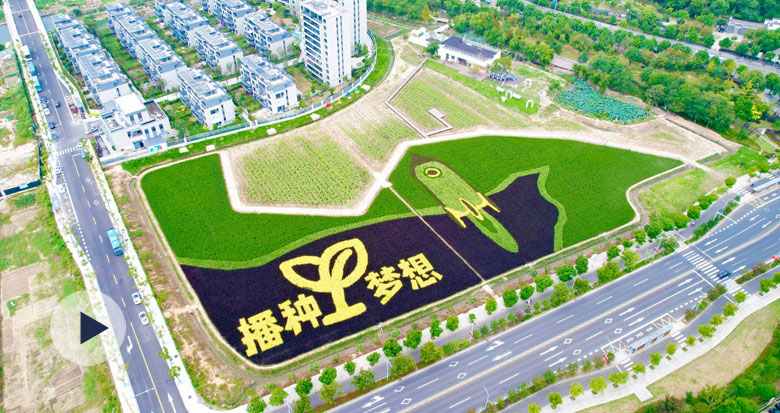 ��ɽ�����N�ʵ� �L�͉�(m��ng)��