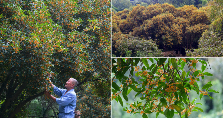 ����r(sh��)��(ji��) �����@��(g��)��300��ð�����ʢ�_