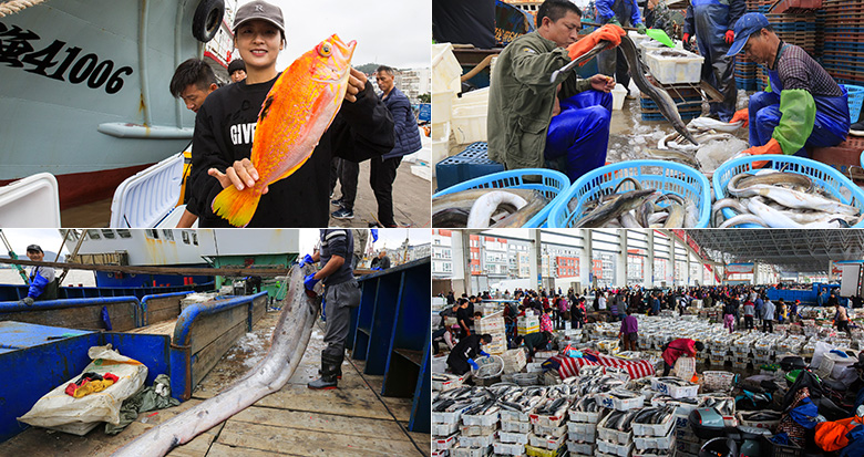 �������u ��ɽ�����O���y�O�@��ǰ�ظ۽���