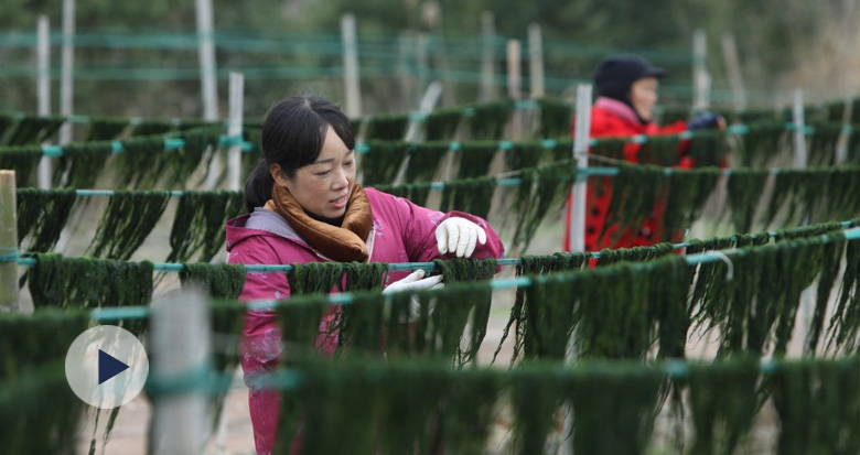 ��(x��)��l(f��)�z �G�ðl(f��)�����@����ʳ������Ȧ