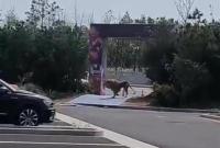 �R��F(tu��n)��ֻ�{���f���\�� �^����ɢ�������ٷ�����ͨ��(b��o)