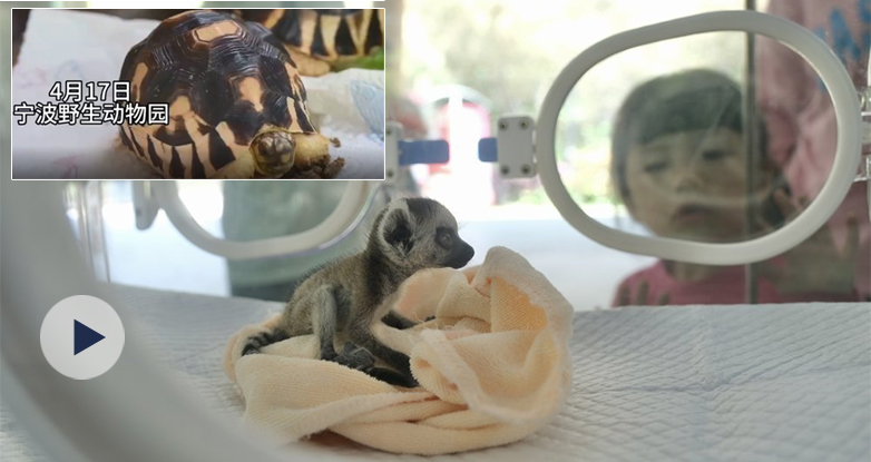 �Ȼ���������Ұ����(d��ng)��@���׃��@���_�W(xu��)��