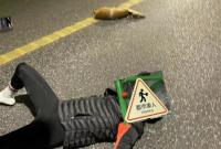 ����һ�T�����c�S����ײ ҹ�TС�����2�����^ �S�����ھ���