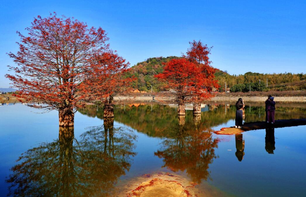 ̫���������ˮ��(k��)�tɼ��