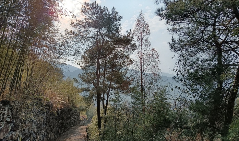 ������������h(hu��n)��